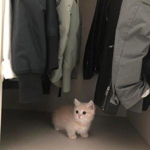 Blueria#blueming&euphoria混音（翻自 田果丽姐梦幻联动）