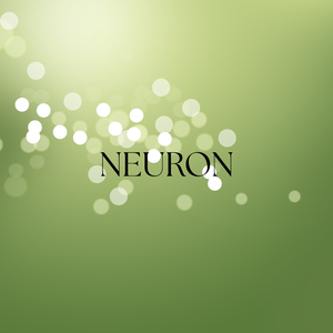Neuron