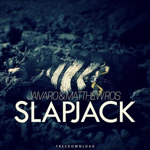 SLAPJACK