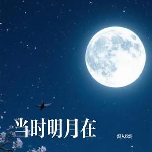 北境倾城