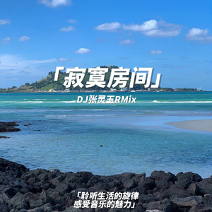 郑晓填-寂寞房间 DJ张灵玉RMix