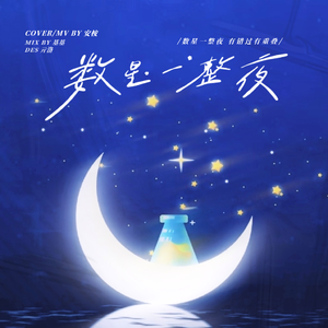 数星一整夜