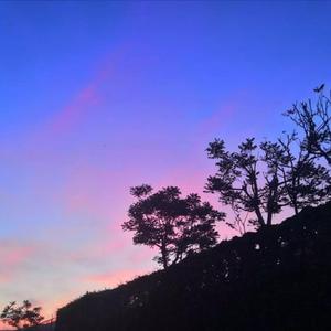 Loving you（翻自 IU）