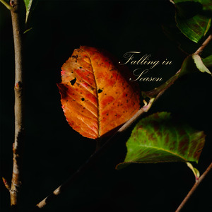 Falling in Season