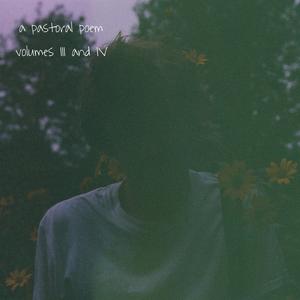 Sun-Bright Land and Sky