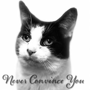 Sweetest Dreams (feat. Amanda Gustafson, Mikey Knox & Orçun Ayata)