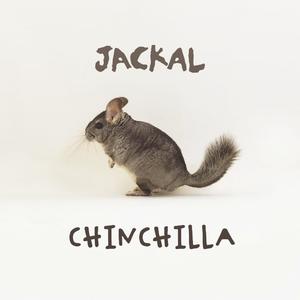 Chinchilla (Original Mix)