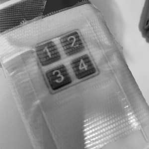 Servants in the Game