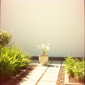 静かなぬくもり (Quiet Warmth)