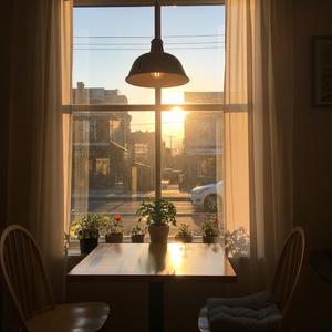 Sunshine on the Window