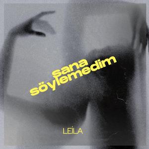 Sana Söylemedim