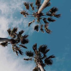 我在昨天的梦里又看见了你