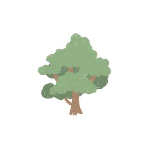 吴哥窟 (深情版)