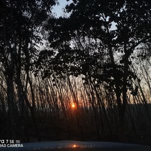 玫瑰1725111444618_2