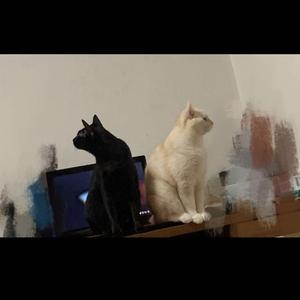 时光胶囊（demo）