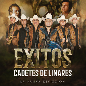 El Carrito (En Vivo)