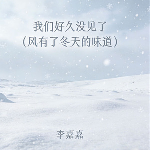 我们好久没见了(风有了冬天的味道)