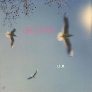 dESTINY