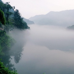 为你把寂寞守成海