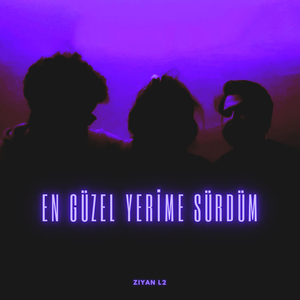 En Güzel Yerime Sürdüm