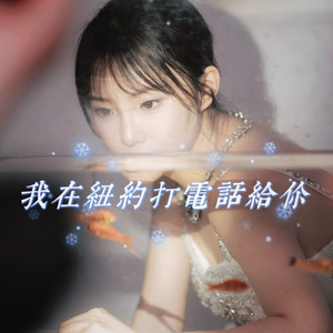 我在纽约打电话给你