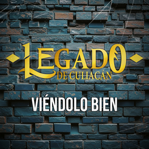 Viéndolo Bien