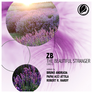 The Beautiful Stranger (Papai ACCI Attila Remix)