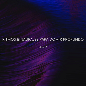 Experiencia Reveladora