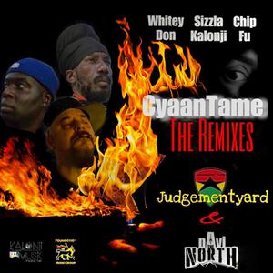 Cyaan Tame (feat. Chip Fu & Sizzla) (Navi the North Remix)