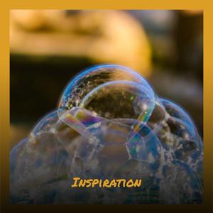 Why Don't We Do this More Often