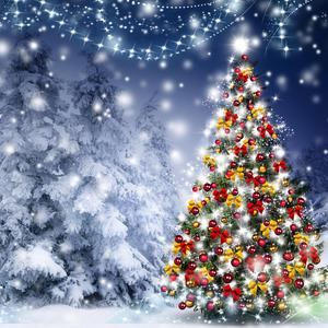 Crăciunul Vine (feat. Nora O Tara)