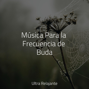 El Bebé Ahora Duerme