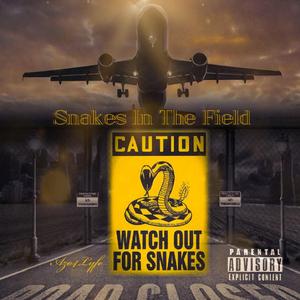 Snakes In The Field