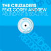 The Cruzaders - Abundant & Beautiful (Keith Hurtigan Remix)