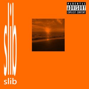 SLIB