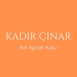 Kel Aynak Kuşu