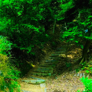 Furrrz (feat. マツダユウキ)