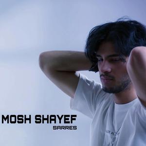 Mosh Shayef