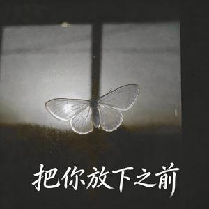 把你放下之前