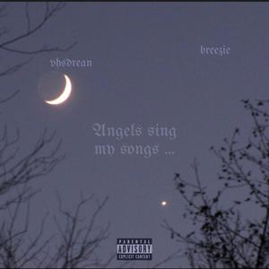 Angels sing my songs (VHSdream)
