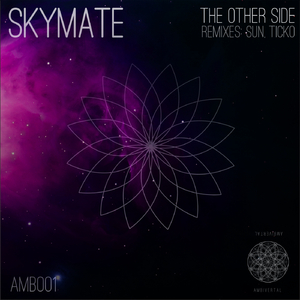 The Other Side (Original Mix)