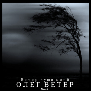 01 Берёзы