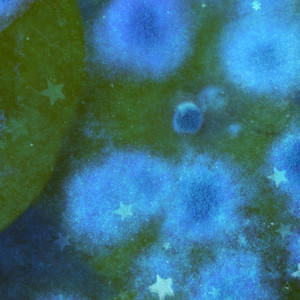 Hyperdreamer (Modulest Remix)