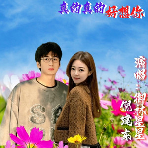 真的真的好想你 (伴奏)