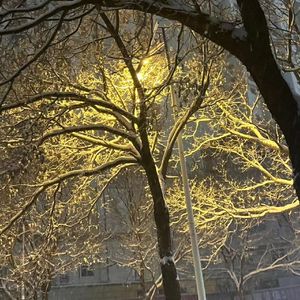 追逐着梦想的翅膀 却忘了天空的模样