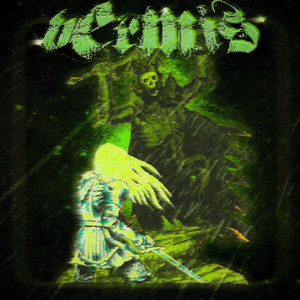 VERMIS
