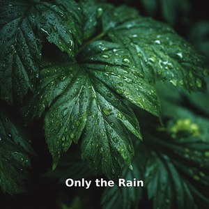Only Rain in the Silence, Pt.23