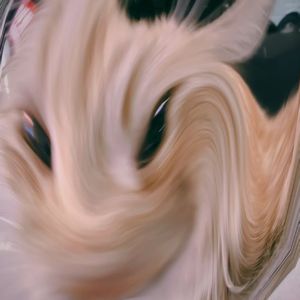 褪色（prod.farber)