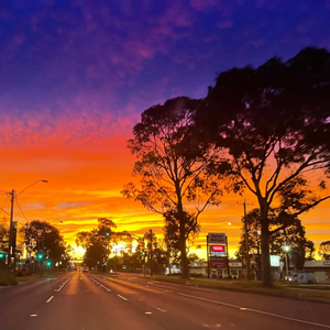 刘若英-《后来》