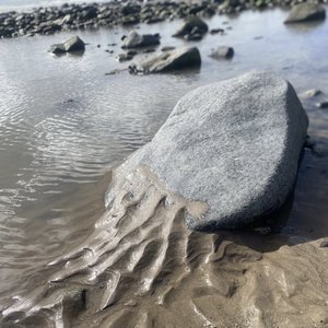 Slither Don't Slide 2024